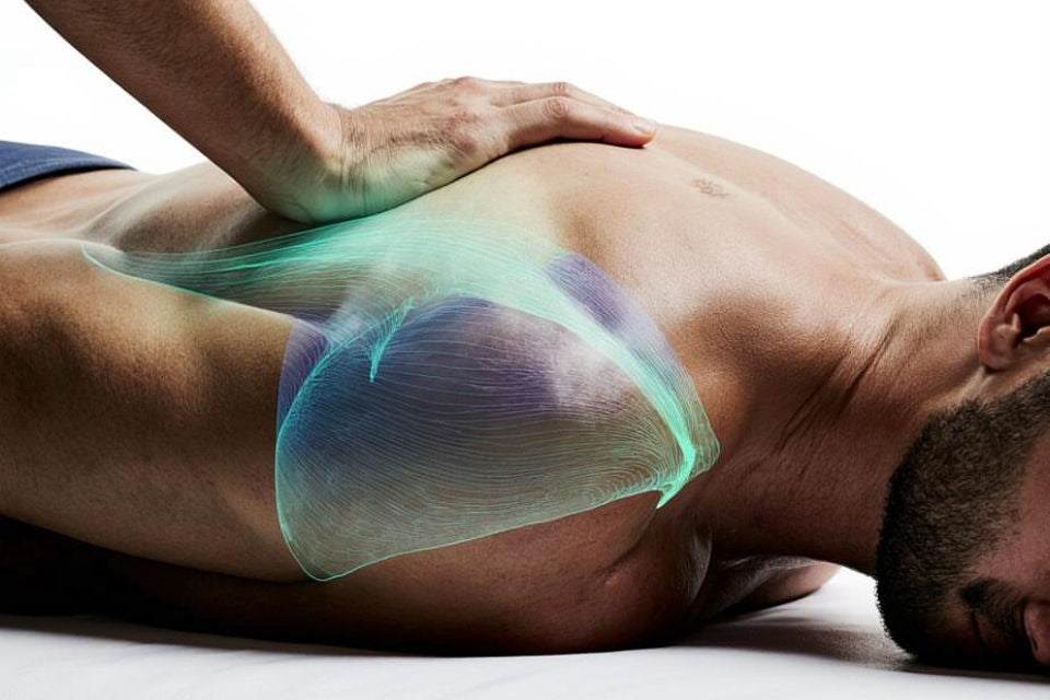 Концепция анатомических поездов Т.Майерса